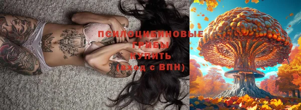 мет Гусиноозёрск