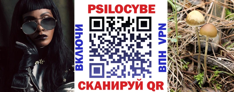 Галлюциногенные грибы прущие грибы  закладки  Пестово 